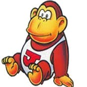 Donkey Kong Jr. 